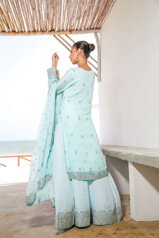 Back view of lehnga and Kameez