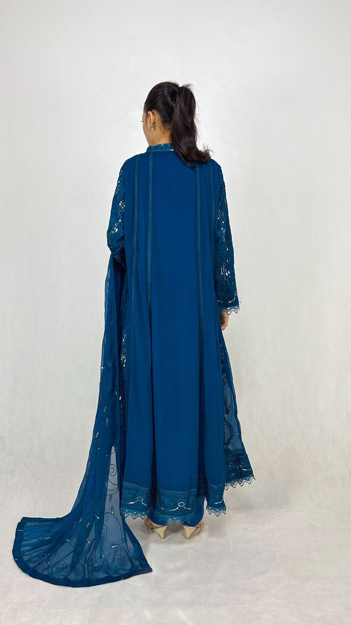 Peacock Blue Indian Embroidered Chiffon Anarkali Gown Frock Back Look