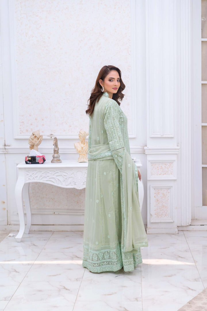 Mint Green Chiffon Anarkali Gown Back Picture