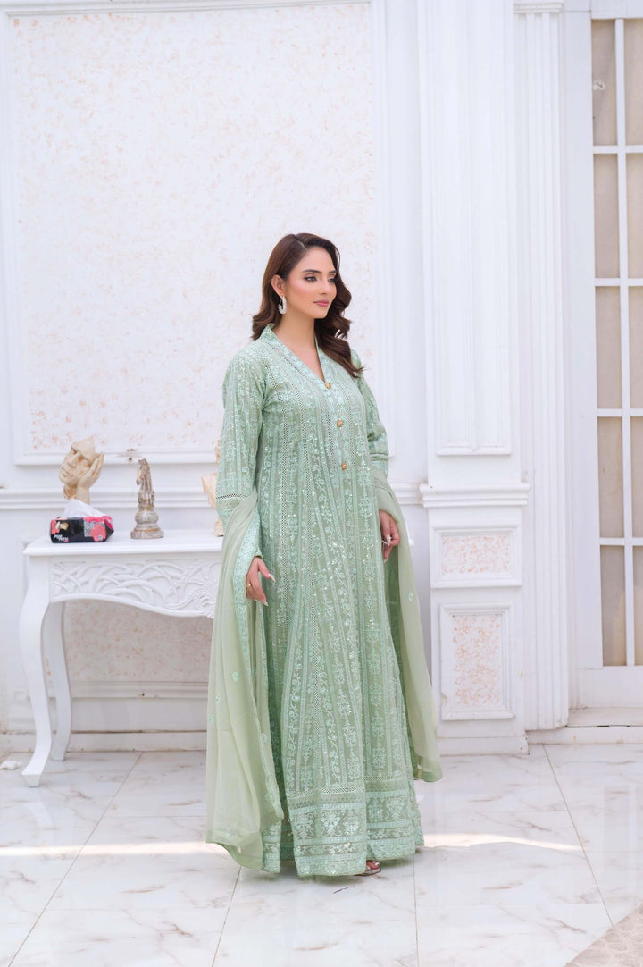 Mint Green Chiffon Anarkali Gown Side Picture