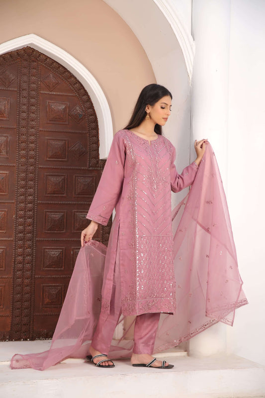 Woman in a pink traditional organza fabric shalwar kameez outfit standing